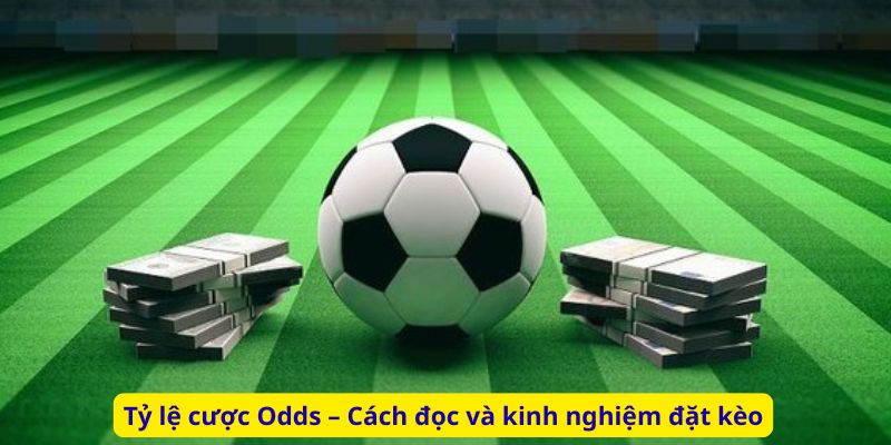 Tỷ lệ cược Odds – Cách đọc và kinh nghiệm đặt kèo